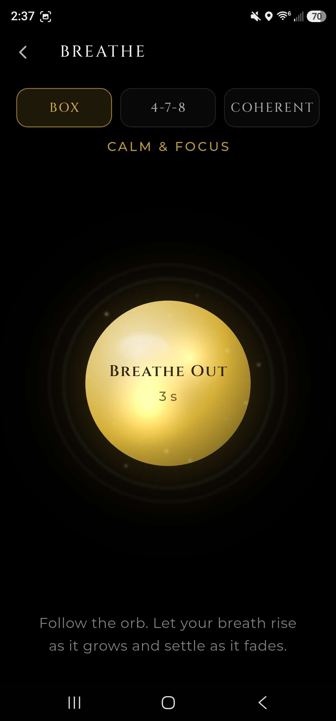 Aura Pulse guided breathing orb